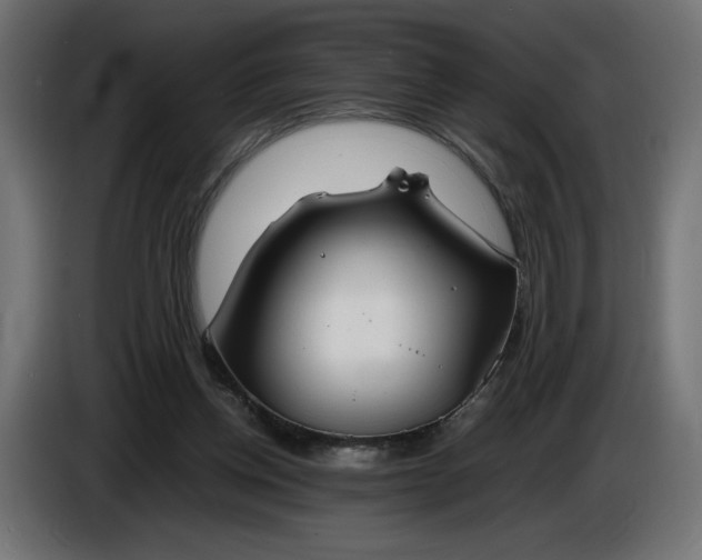 X0000086310158200704131639