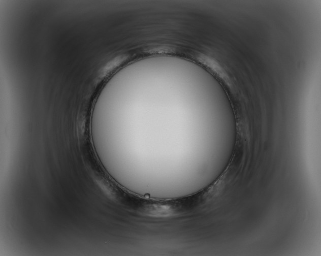 X0000086310159200704131639
