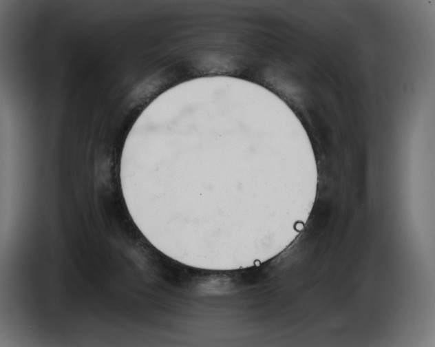 X0000086310162200704131639