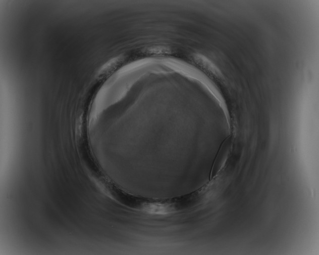 X0000086310163200704131639