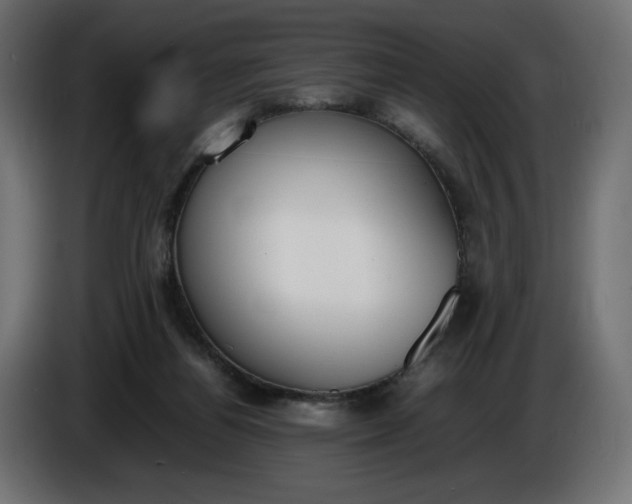X0000086310164200704131639