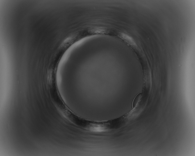 X0000086310167200704131639