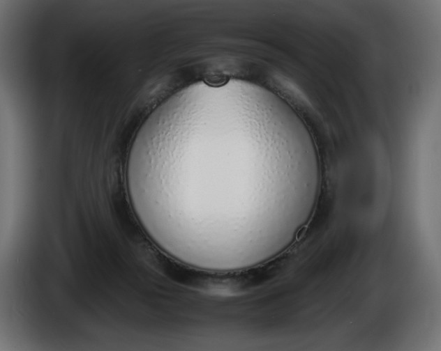 X0000086310169200704131639
