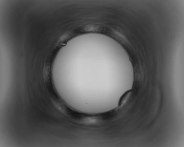X0000086310171200704131639