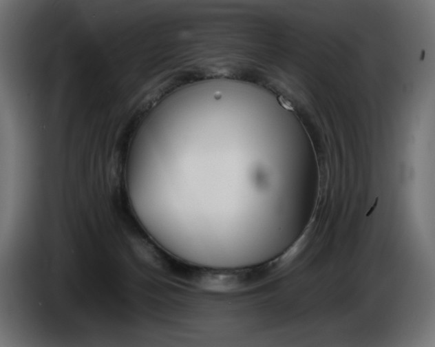 X0000086310174200704131639