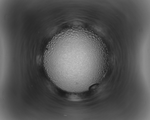 X0000086310177200704131639