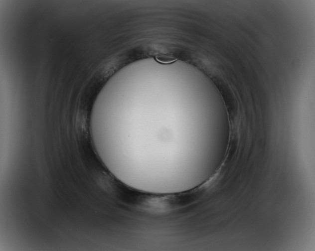 X0000086310178200704131639