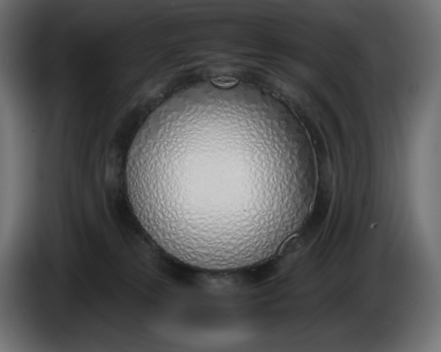 X0000086310181200704131639