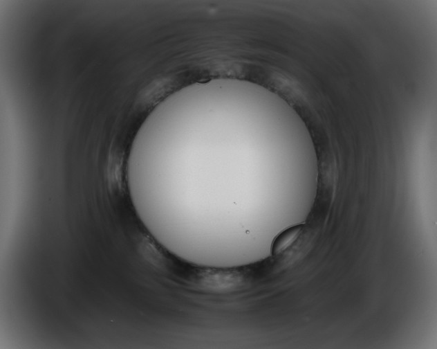 X0000086310185200704131639