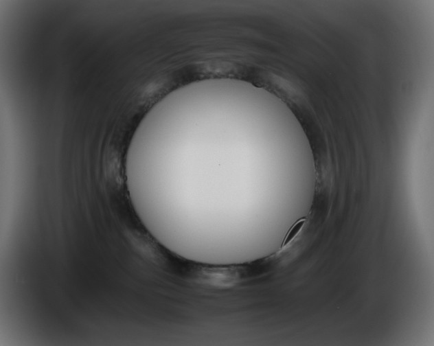 X0000086310187200704131639