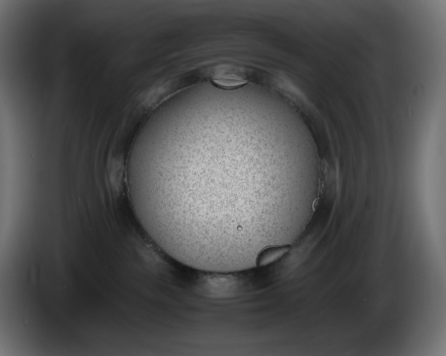 X0000086310189200704131639