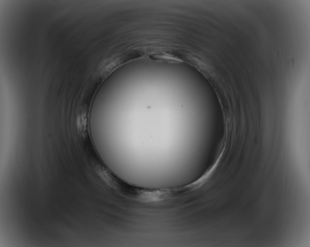 X0000086310190200704131639
