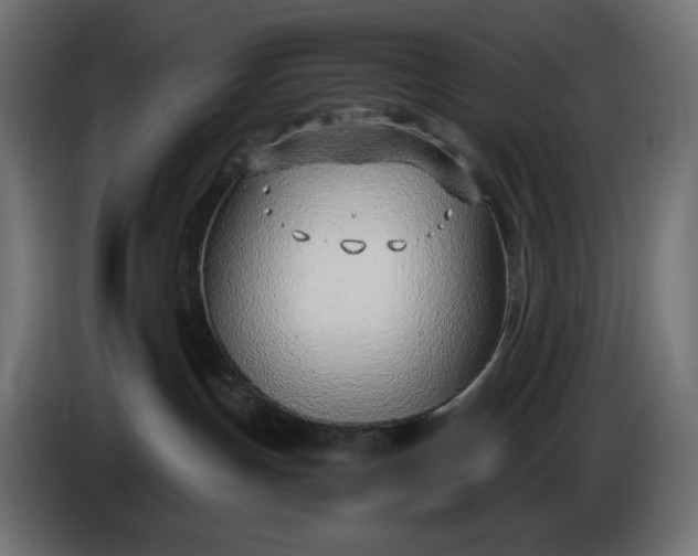 X0000086310191200704131639