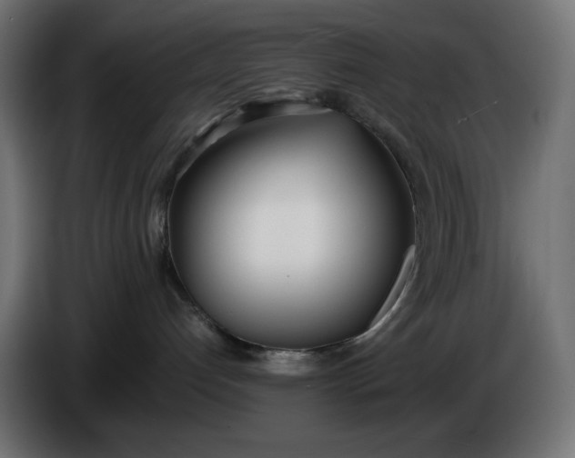 X0000086310192200704131639