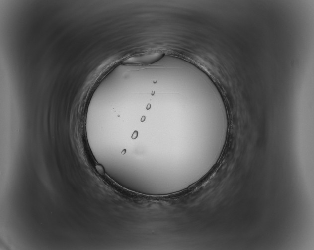 X0000086310193200704131639