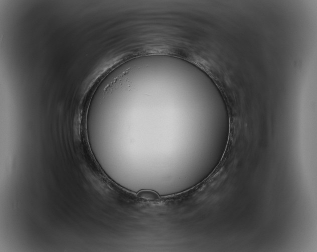 X0000086310194200704131639