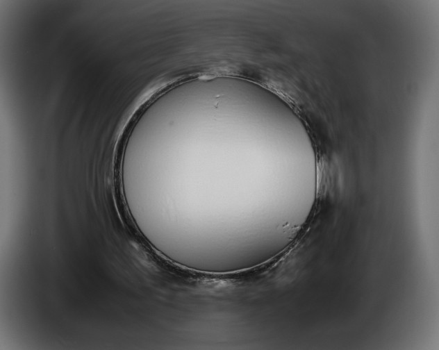 X0000086310195200704131639