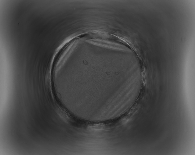 X0000086310196200704131639