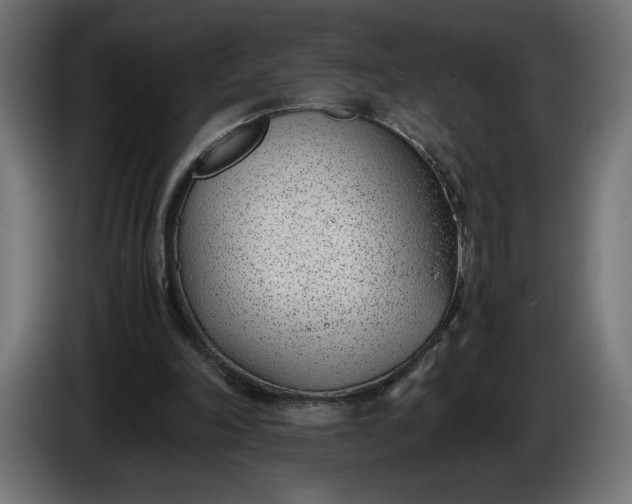 X0000086310198200704131639