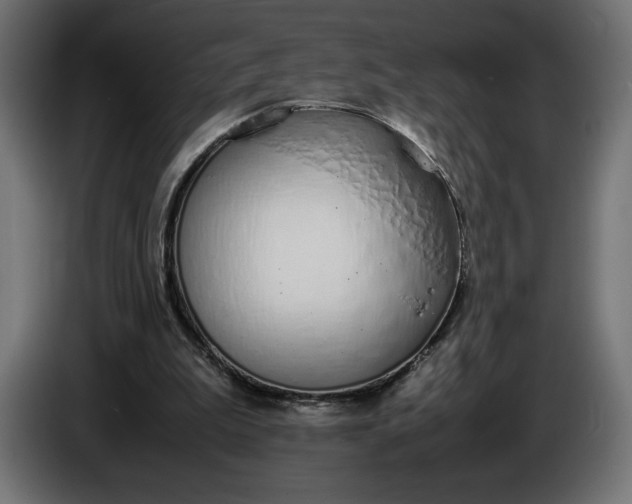 X0000086310199200704131639