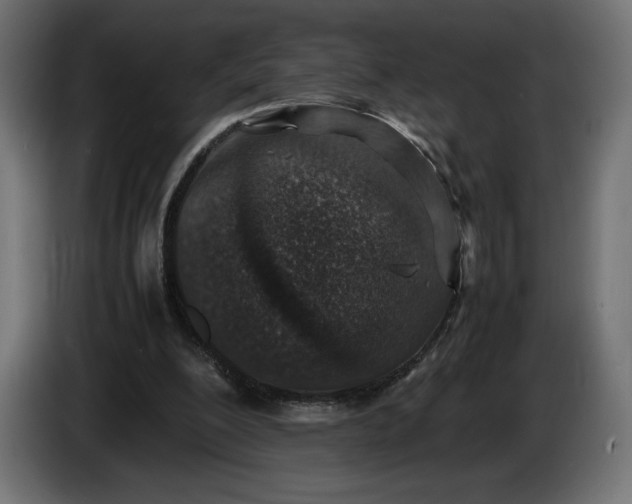 X0000086310200200704131639