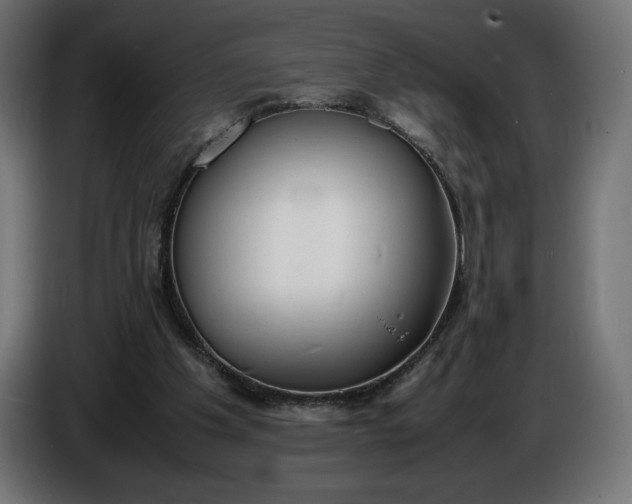 X0000086310201200704131639