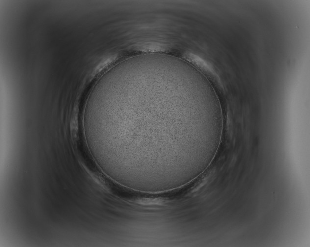 X0000086310202200704131639