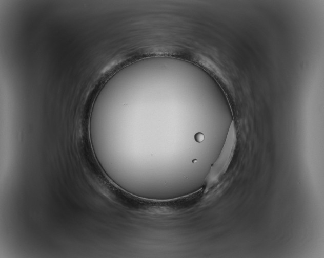 X0000086310203200704131639