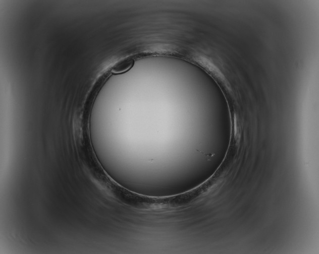 X0000086310204200704131639