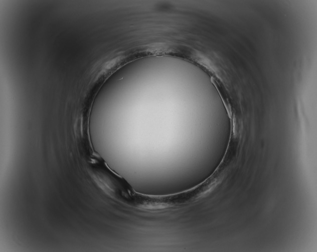 X0000086310205200704131639