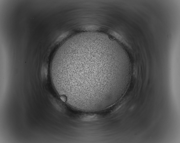 X0000086310206200704131639