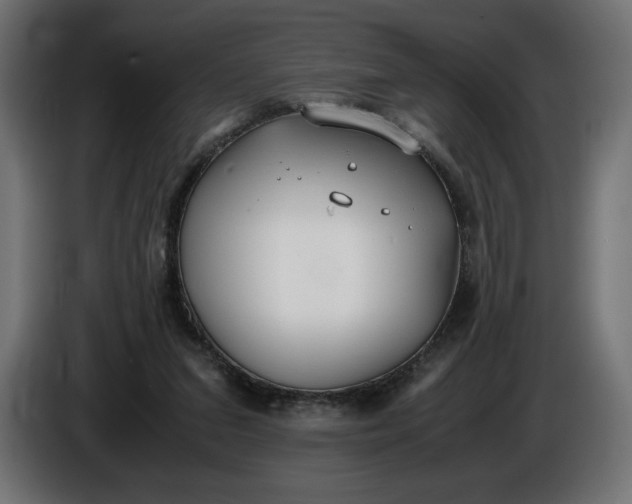 X0000086310207200704131639