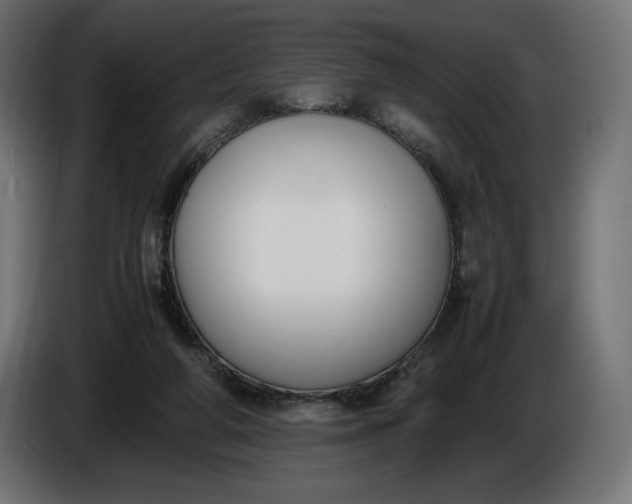 X0000086310210200704131639