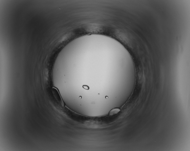 X0000086310211200704131639