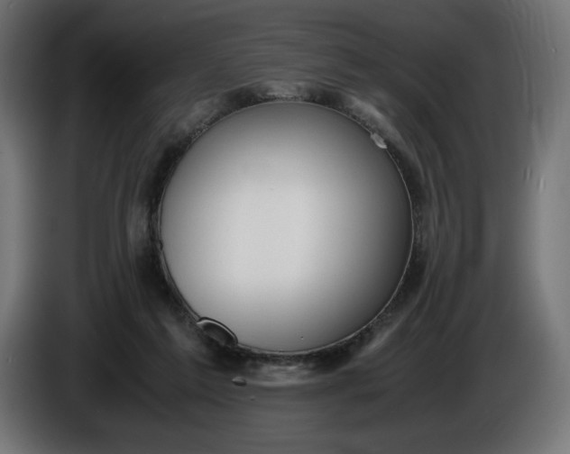 X0000086310213200704131639