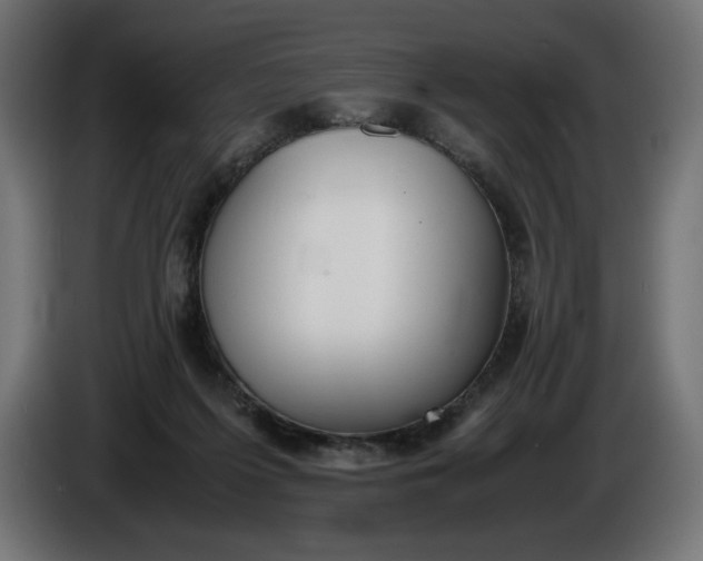 X0000086310215200704131638