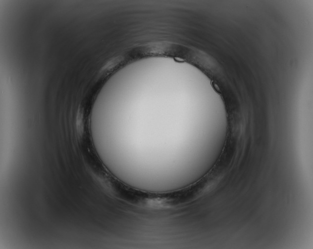 X0000086310216200704131638