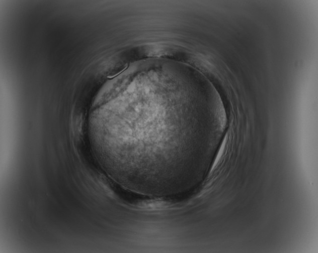 X0000086310219200704131638
