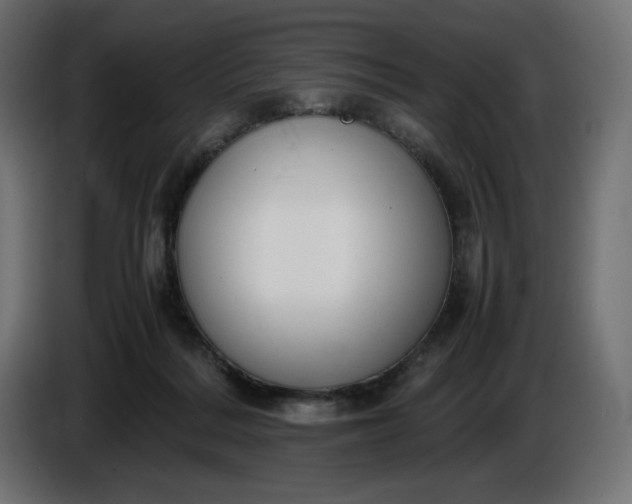 X0000086310220200704131638