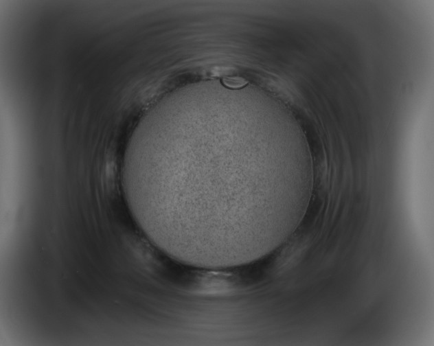 X0000086310222200704131638