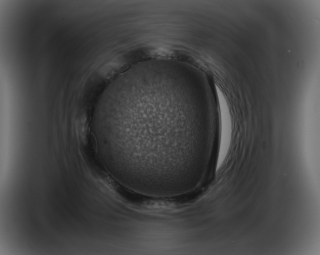 X0000086310223200704131638