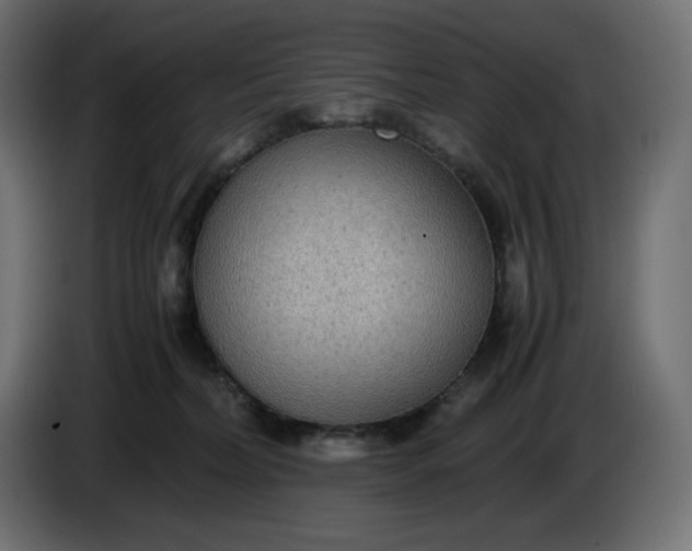 X0000086310228200704131638