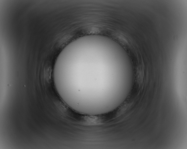 X0000086310230200704131638