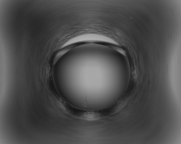 X0000086310231200704131638