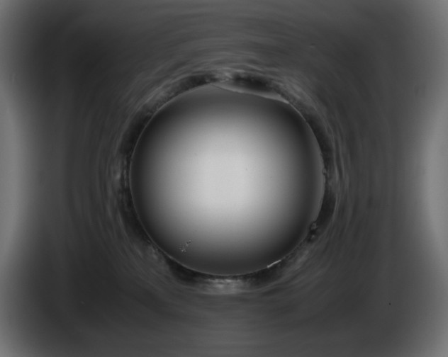 X0000086310233200704131638