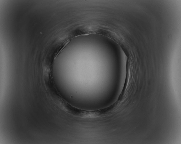 X0000086310235200704131638