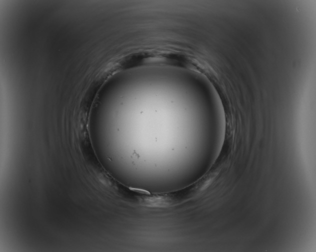 X0000086310237200704131638