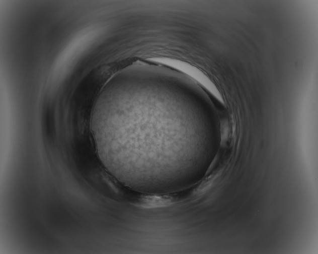 X0000086310239200704131638