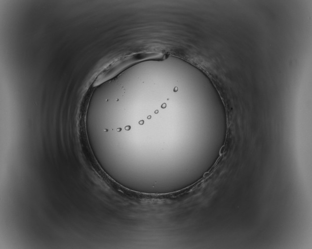 X0000086310242200704131637
