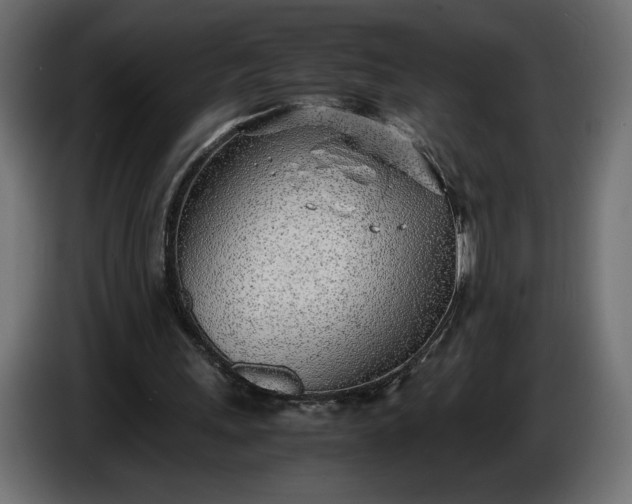 X0000086310243200704131637